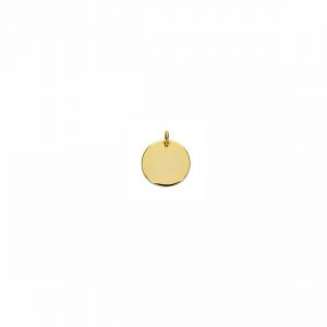 Colgante Charm plata 925 (10mm) Gold